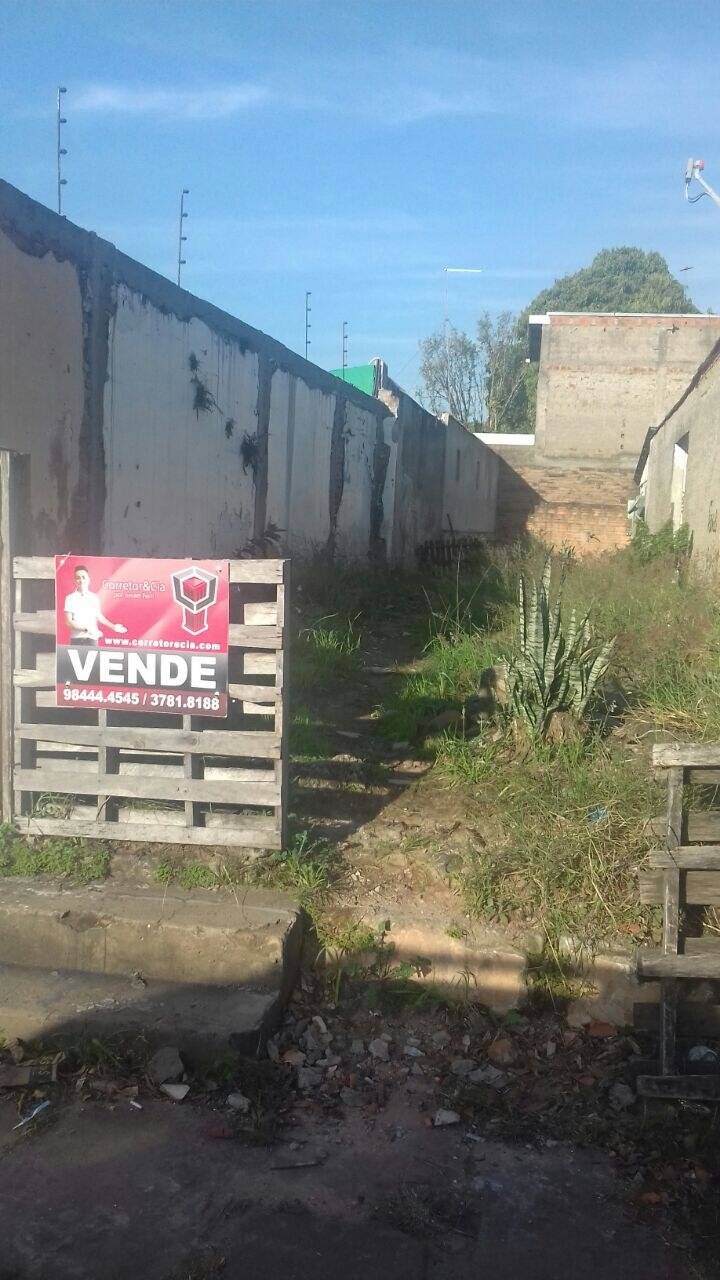 terreno venda FIÃO São Leopoldo 2206469 terreno venda FIÃO São Leopoldo