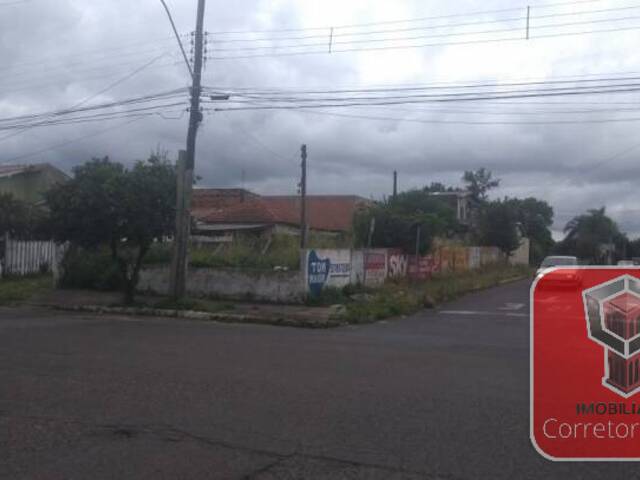 Área para Venda em Sapucaia do Sul - 4