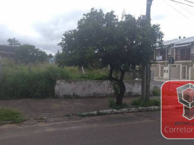 Área para Venda em Sapucaia do Sul - 5