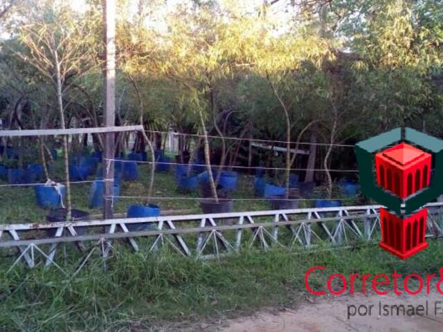 Área para Venda em Sapucaia do Sul - 1