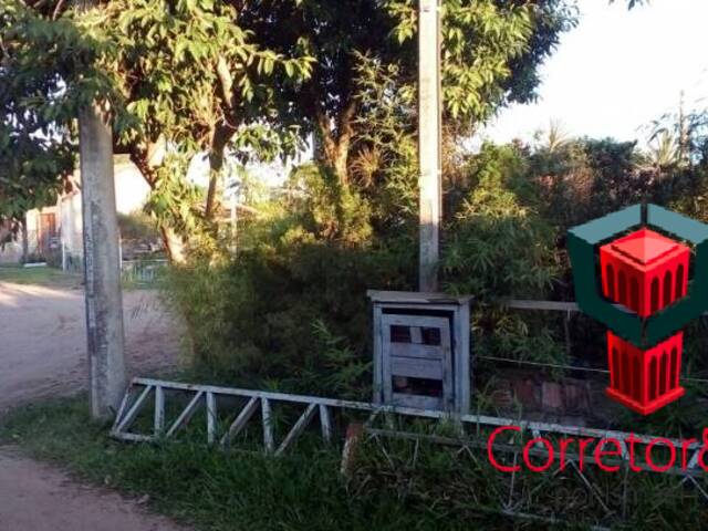 Área para Venda em Sapucaia do Sul - 2