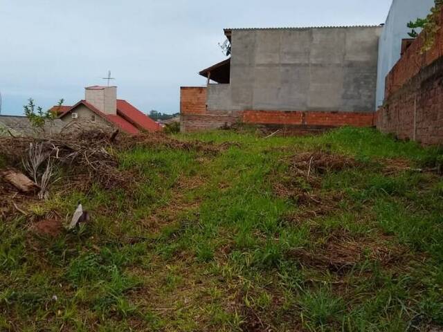 Área para Venda em Sapucaia do Sul - 5
