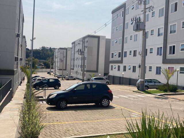 Apartamento para Venda em Sapucaia do Sul - 1