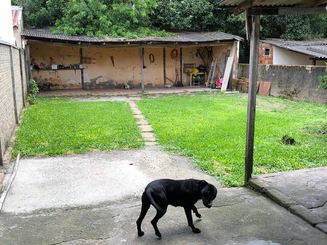 #2228 - Casa para Venda em Sapucaia do Sul - RS - 2