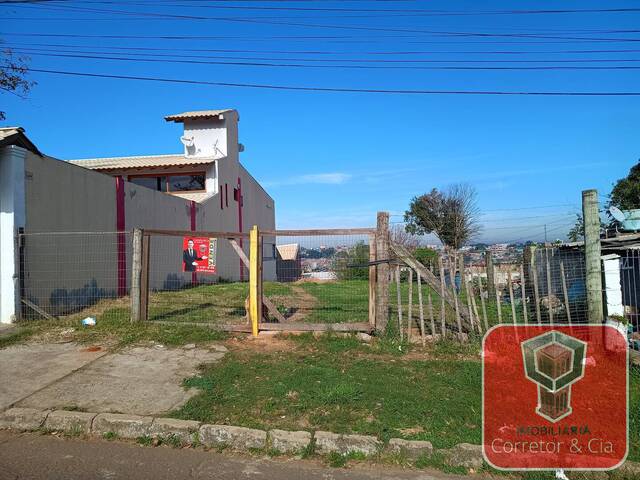 Área para Venda em Sapucaia do Sul - 4