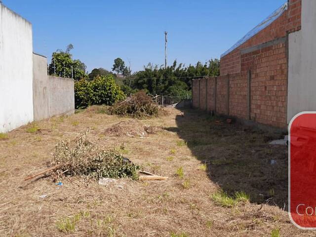 Área para Venda em Sapucaia do Sul - 4