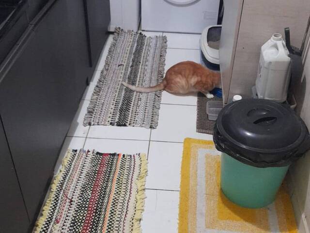 Apartamento para Venda em Sapucaia do Sul - 5