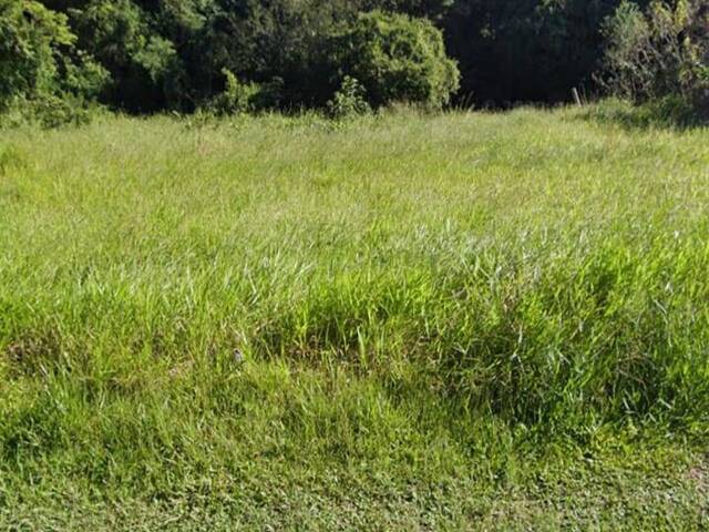 Área para Venda em Canoas - 5