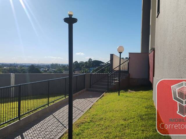 Apartamento para Venda em Sapucaia do Sul - 4