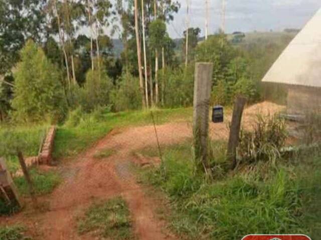 #2732 - Chácara para Venda em Novo Hamburgo - RS - 1