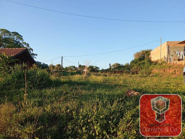 Área para Venda em Sapucaia do Sul - 4