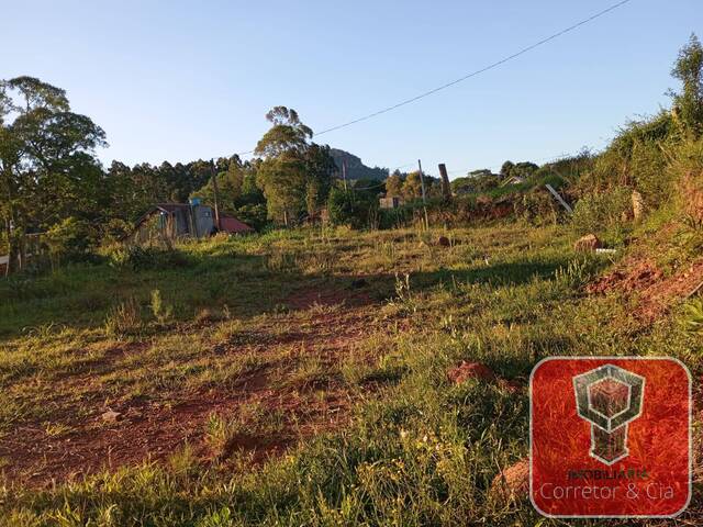 Área para Venda em Sapucaia do Sul - 5