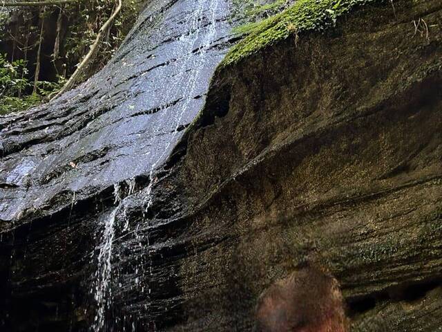 #2745 - Casa para Venda em Sapucaia do Sul - RS - 1