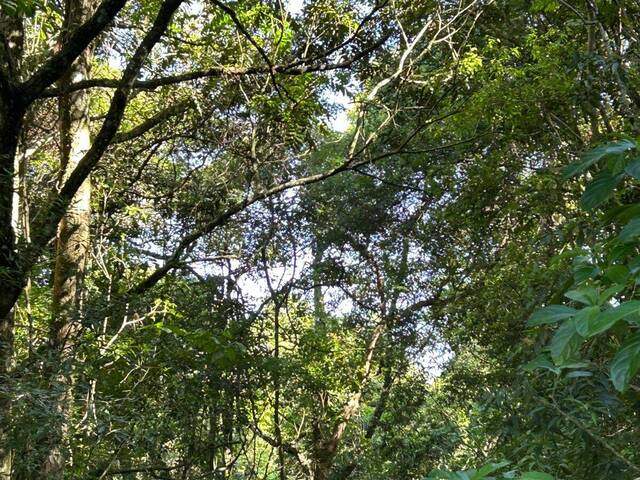 #2745 - Casa para Venda em Sapucaia do Sul - RS - 2