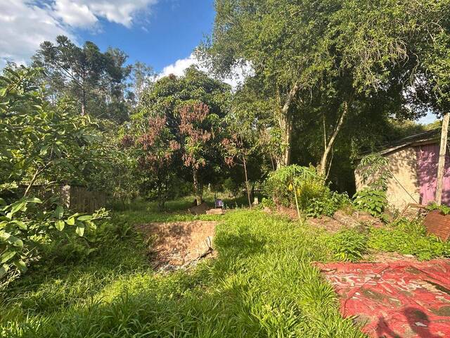 Chácara para Venda em Sapucaia do Sul - 4