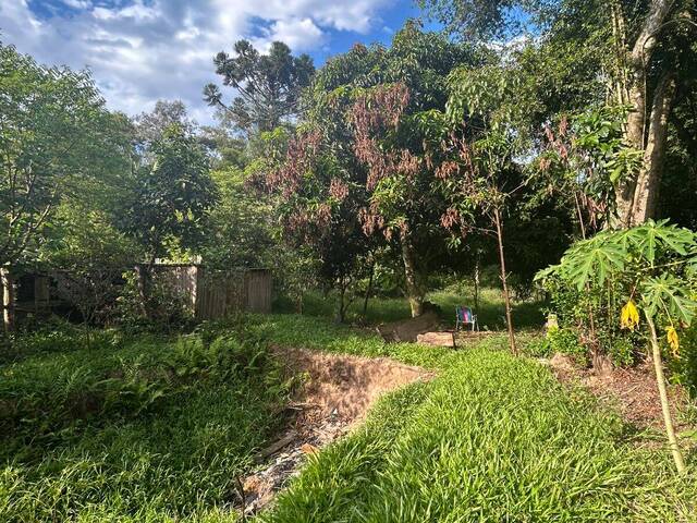 Chácara para Venda em Sapucaia do Sul - 5