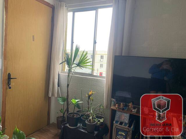 #2792 - Apartamento para Venda em Sapucaia do Sul - RS