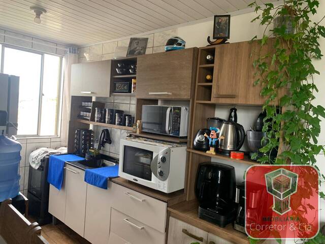 Apartamento para Venda em Sapucaia do Sul - 4
