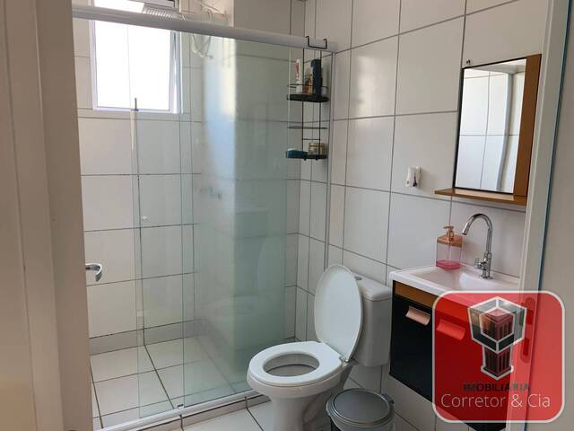 Apartamento para Venda em Sapucaia do Sul - 4