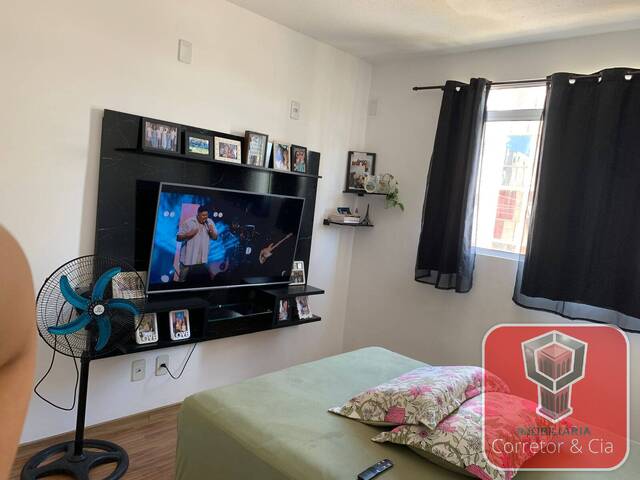Apartamento para Venda em Sapucaia do Sul - 5