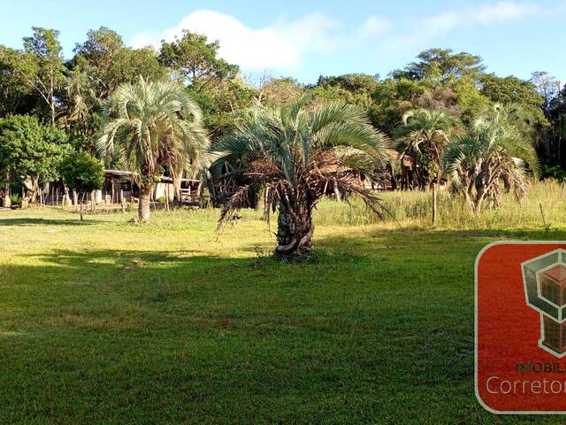 #2807 - Chácara para Venda em Tapes - RS - 1