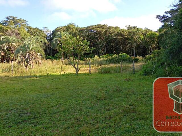 #2807 - Chácara para Venda em Tapes - RS - 2