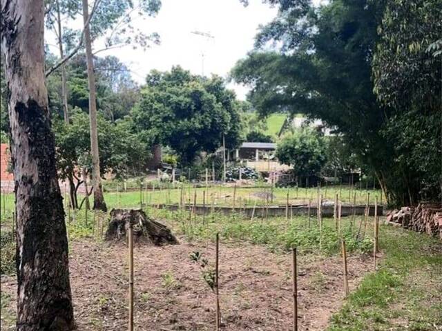 Chácara para Venda em Sapucaia do Sul - 4