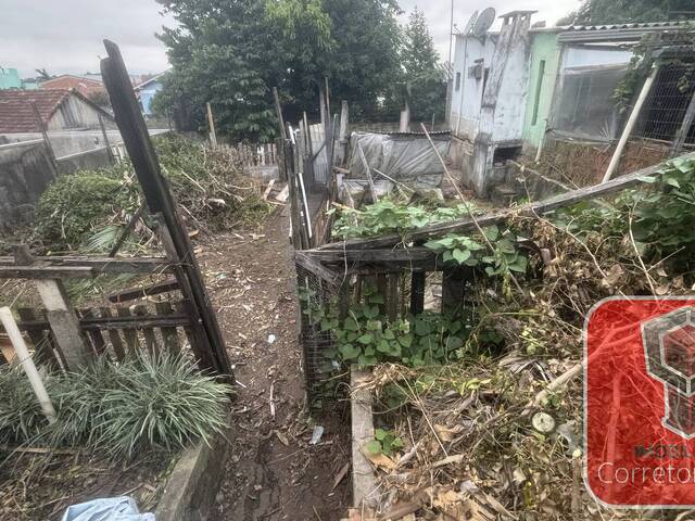 Casa para Venda em Sapucaia do Sul - 4