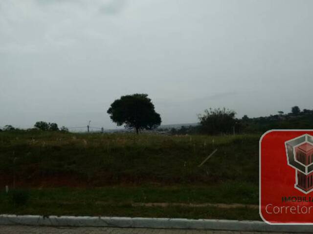 #317 - Terreno para Venda em Sapucaia do Sul - RS - 2