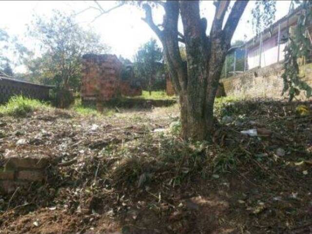 #492 - Área para Venda em Sapucaia do Sul - RS - 1