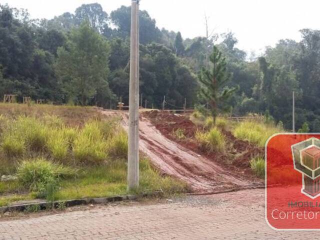 #608 - Terreno para Venda em Sapucaia do Sul - RS - 3